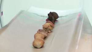 Foto Mapi - Centro de Alta Tecnología