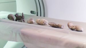 Foto Mapi - Centro de Alta Tecnología