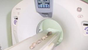 Foto Mapi - Centro de Alta Tecnología