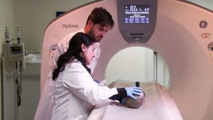 Foto Mapi - Centro de Alta Tecnología